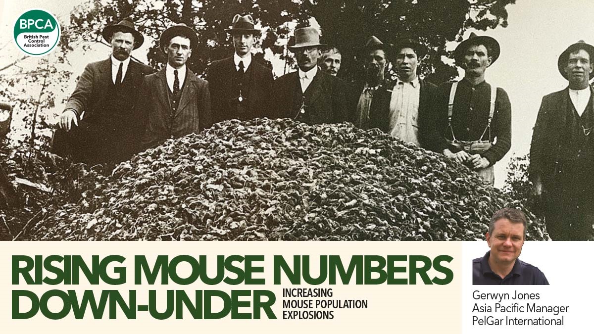 INCREASING MOUSE POPULATION EXPLOSIONS in Australia PPC magazine feature INCREASING MOUSE POPULATION EXPLOSIONS in Australia PPC magazine feature